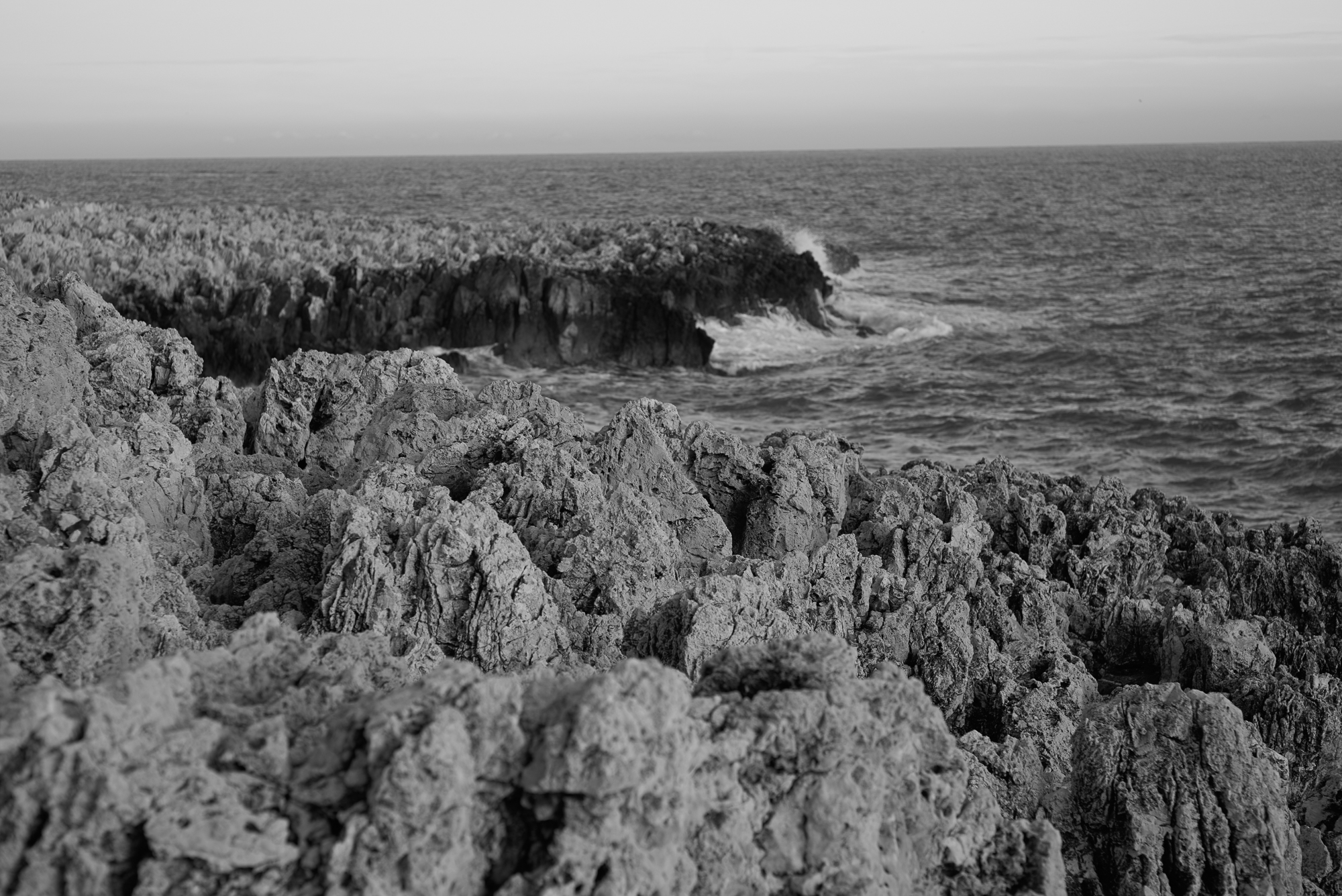 Obiektyw Voigtlander Nokton 75 mm f/1,5 do Leica M - srebrny